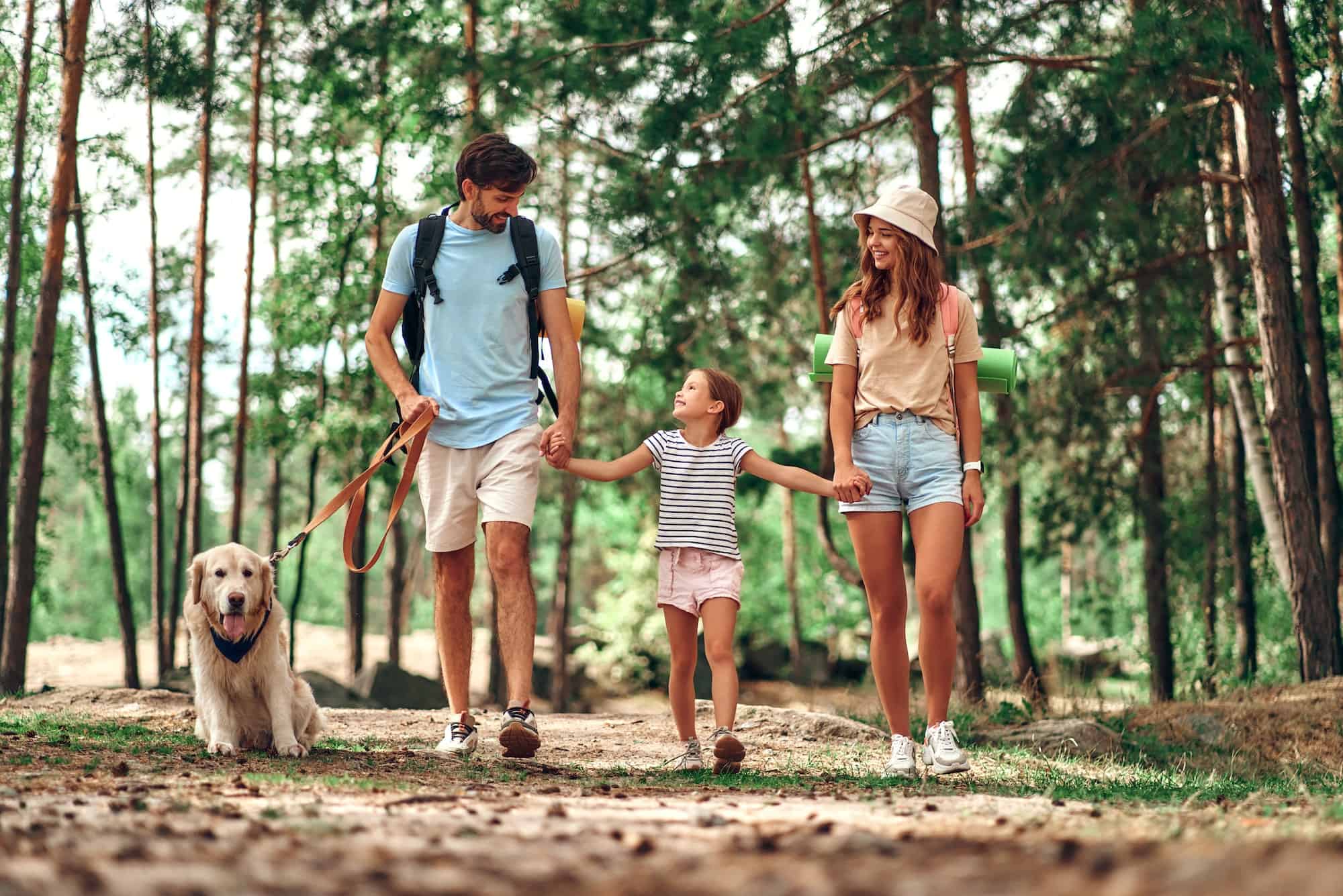 Family on vacation in the forest